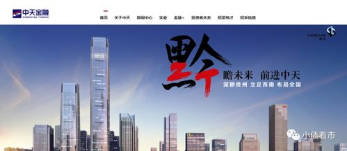 中天金融被质疑70亿定金转战破产重整：此前开启债权人会议