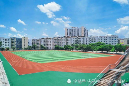 深圳小学改扩建：家长关注学生安置方案进展，部门详解优化措施