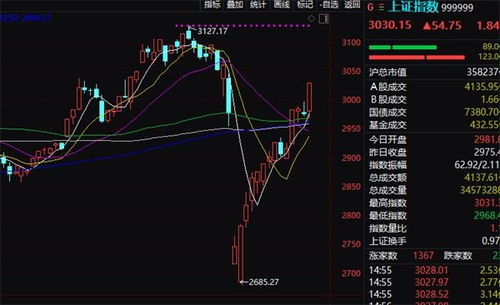 市值迭创新高！上证指数年内涨幅超2成，权重股与国企涨幅突出