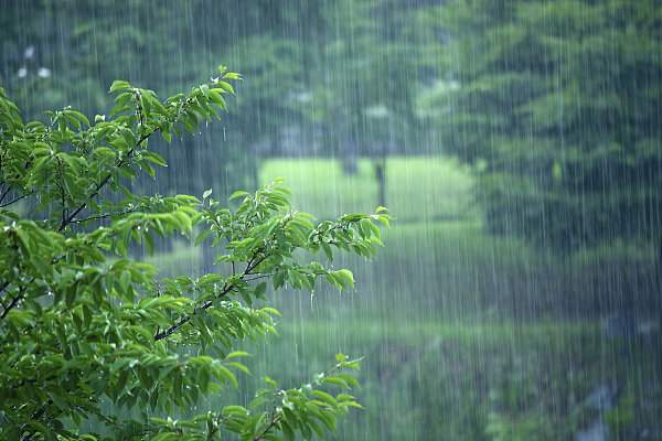 南方持续下雨10天