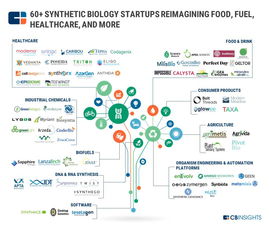 医药行业景气好转：合成生物学有望成下一个增长动力