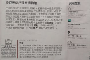 法国猪肉首次进入中国市场：两国经济合作的新里程碑——法媒评述中法贸易的重要一步