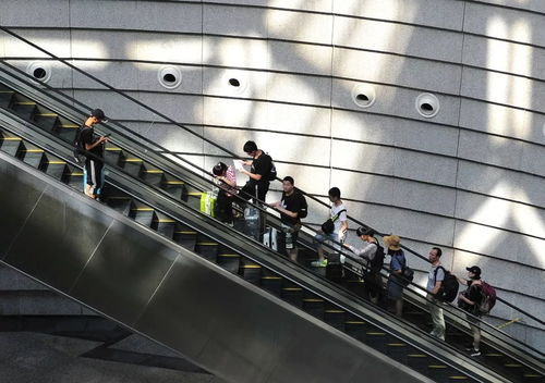 网友建议在成都地铁上乘坐扶梯时遵循‘左行右立’规则，避免加剧链条磨损。地铁政策并非强制性规定，需乘客自行权衡利弊。