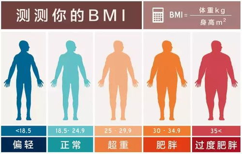 世界防治肥胖日：医生提醒，肥胖关联众多疾病