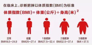 世界防治肥胖日：医生提醒，肥胖关联众多疾病