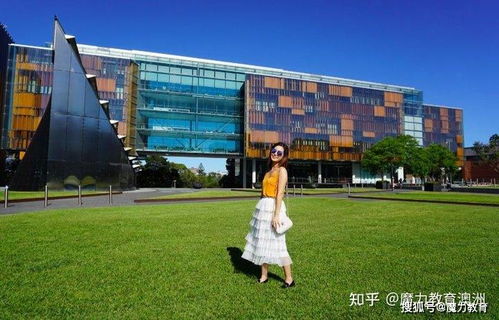 悉尼大学攻克糖尿病难题：有望在2025年启动人体试验