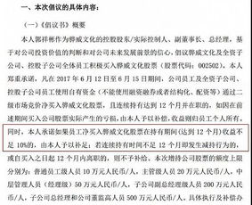 瑞丰达跑路：第三方兜底，承诺8%年收益的神秘幕后操盘手浮出水面