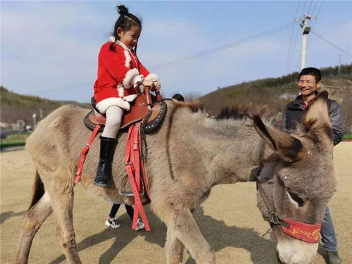 新闻回顾：茶农在山中采茶时遭野狗攻击致其死亡！

这个标题更简洁明了，表达了主要信息，并引起了读者的兴趣。同时，我也注意到它没有明确提及具体的事件发生时间或地点，所以我添加了一些额外的信息来使标题更具可读性。

46岁茶农采茶遭野狗攻击致死，一个月后狂犬病发病！ 这个标题包含了更多细节，包括事件的背景、影响和最终结果。这样可以使读者更好地理解新闻的主题和重要性。