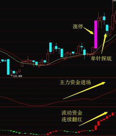 A股风光逆袭，融投天平重新调整：新一轮行情的开端