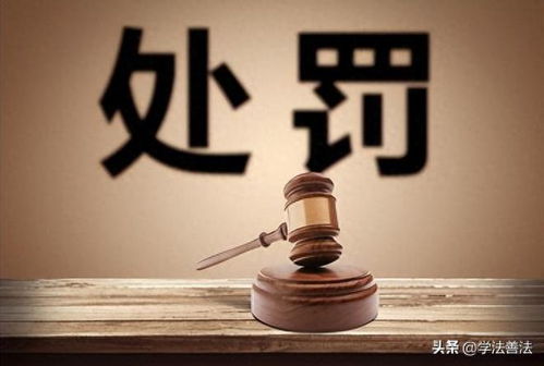 母女遭霸凌，复仇之路艰难曲折 - 咨询专家如何解决：正确途径曝光