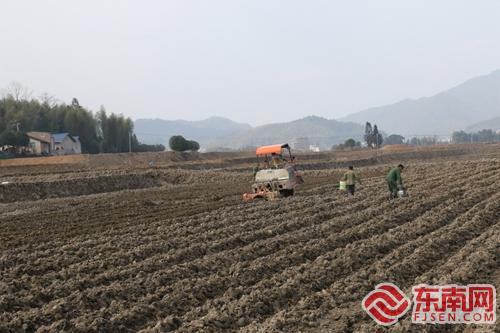 高标准农田内：全国着力确保粮食安全的‘丰收策’展示