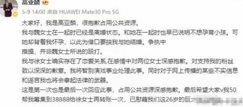 高亚麟事件真相浮出水面：魏嘉被曝因给孩子上北京户口而故意杀人