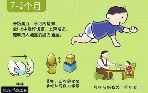 六年级孩子需警惕“小黄片”，进行怎样的性教育尤为重要?