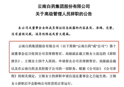 云南白药连跌五日：年薪千万原董事长被指操纵高层