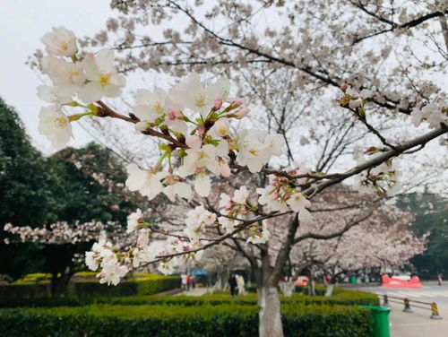 《都市微旅行：年轻人们为何选择在小城市定居》