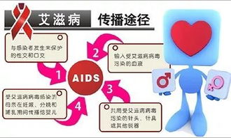 siRNA筛选技术：精确打击HIV耐药毒株，开启全新治疗途径