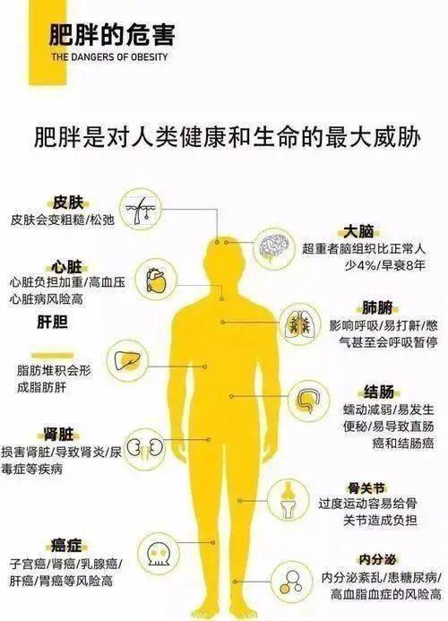 中国人口中近一半超重和肥胖：健康挑战严峻