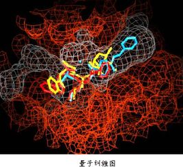 亚得里亚海边：怀念中的量子多体启示录 - 《量子多体中的坟》