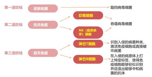 国民健康问题引关注：摄入不健康的脂肪和蛋白质严重超标，需立即改变饮食习惯