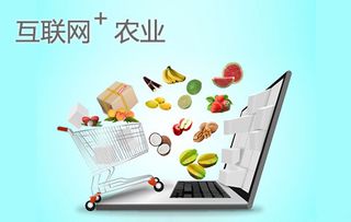 中国：全球领先的食品出口国，揭秘其如何通过互联网营销推动美食出口