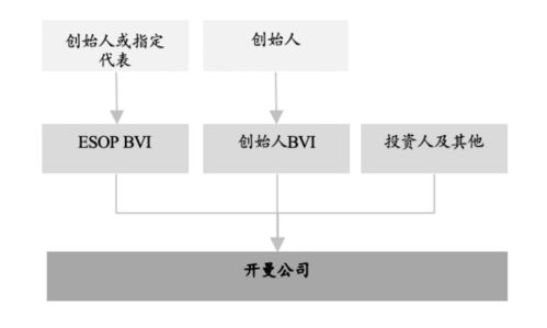 理解不足：避免被完美构架困住的创业陷阱