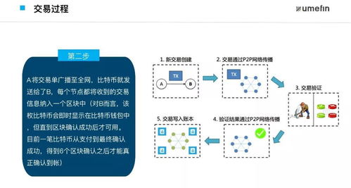 理解不足：避免被完美构架困住的创业陷阱