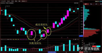 龙头20CM涨停，龙回头，本周机构持续关注与合成生物学相关行业：共振的行情下，这家公司被广大投资者所期待！