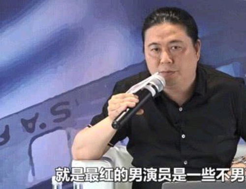 流量明星与演技派对决：汪海林对杨幂的一致评价究竟合理还是不可靠？