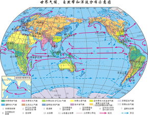 关注全球气候变化：巧克力对环境的影响及应对策略