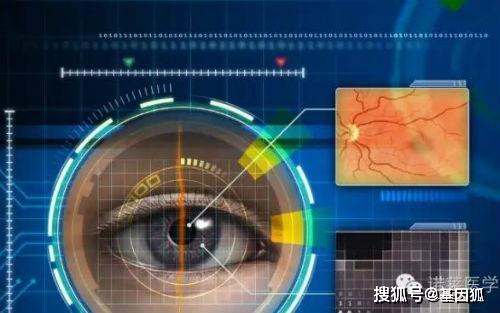 科学家揭示：人类独特的视觉系统与其它生物的有所不同