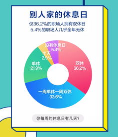 职场导航：深度解析网络专家——参哥，不坑穷人，只渡老板和高管