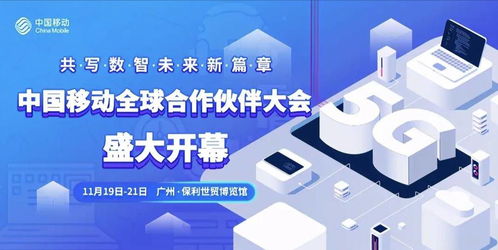 携手共创未来：强化团队合作与互联网知识储备的力量