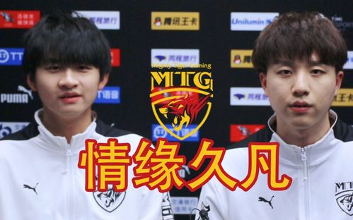 狼队4-0胜KSG，AG晋级总决赛！狼队锁定第二名，清除KPL的最大隐患