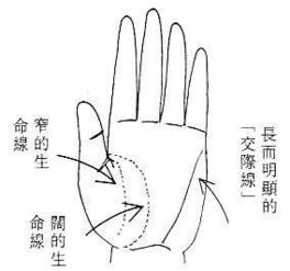 深入解析：手指割破的梦境含义及解读