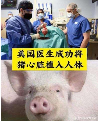 全球首例猪心、猪肾移植者离世：专家呼吁尚需克服众多挑战

同时，也可以考虑以下修改：

1. 再次证实，全球首例猪心、猪肾移植者离世，还需更多研究与实践
2. 猪心、猪肾移植者离世，专家呼吁更多应对方式
3. 全球首例猪心、猪肾移植者离世，面临的挑战及解决方案
4. 全球首例猪心、猪肾移植者离世：专家探讨未来可能性与挑战