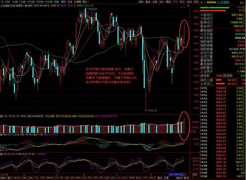 金融股护盘背后：低开后还需警惕风险