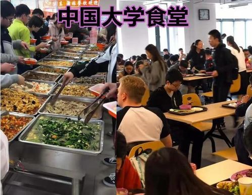 网友投诉湖南一中学学生食堂：难吃、卫生差 网友呼吁家长接送

湖南一中学食堂遭网友投诉：问题严重 卫生堪忧 家长送饭成难题