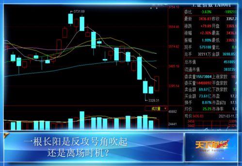 今日股市反弹，三大领涨板块均有亮点：一个关键共性揭示了上涨的秘密