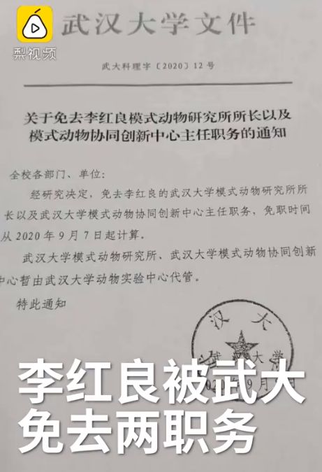 武汉大学教授称博士弟子论文遭‘恶意评审’，学院已知晓并介入