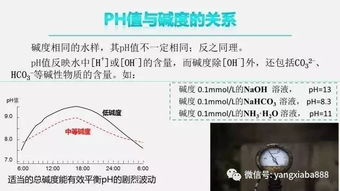 网站：昔日百万财富如今却陷入零成交困境？这是为什么呢？

网站收入大滑坡！原来是因为……而我竟然也是其中之一！