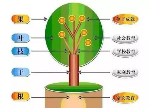 了解家庭教育：影响孩子上限的关键因素，以及如何提供优质陪伴?