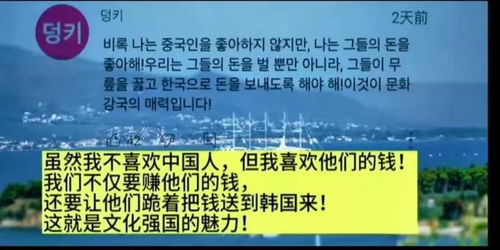 并非所有韩网评论都如你所想象般冷嘲热讽，部分网友表达的独特见解令人捧腹大笑