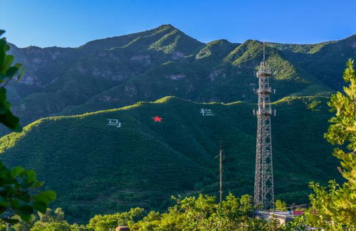 陕西旬邑：千年古林钱豹频现，马栏石门景区显神秘魅力