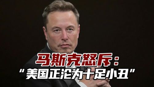 全球震动！马斯克干涉巴西政治？引发多国关注与质疑：马斯克怒斥大法官为独裁者