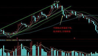 西昌电力一周股价涨势稳健：公司整体业绩表现如何？