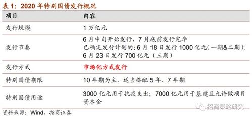 深度解析：超长期特别国债的特点、发行原因，带你全面理解这一重要金融工具