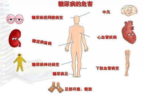 全球首例自体再生胰岛移植：成功治疗罕见糖尿病