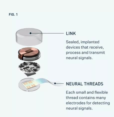 Neuralink首例神经连接设备失效，科技周览：新型脑机接口技术发展与挑战