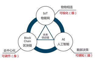 沃尔玛的全球供应链管理实践：高效运作与卓越品质的典范