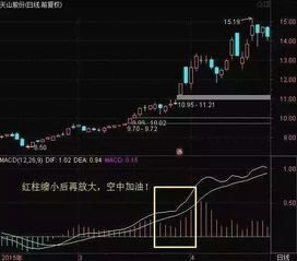 极氪上市背后的隐秘挑战：为何其折价强行推动股价狂涨?